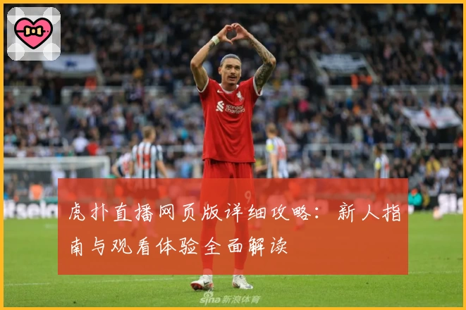 虎扑直播网页版详细攻略：新人指南与观看体验全面解读